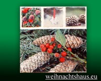 Seiffen Weihnachtshaus - Weihnachtsservietten verschneite Tannenzapfen - Bild 1