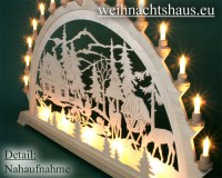 Seiffen Weihnachtshaus - Schwibbogen 20 Kerzen Forsthaus 100 cm - Bild 2